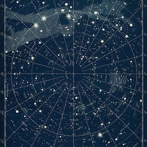 Meet your Posher, Giselle